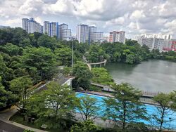 Blk 543 Panshan Grove (Bukit Panjang), HDB Executive #575888081